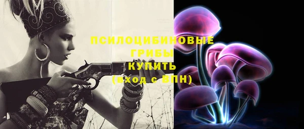 ешки Алексин