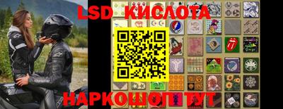 прущие крисы Нарткала