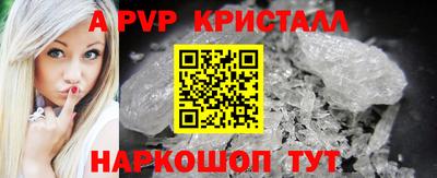 стафф Нальчик