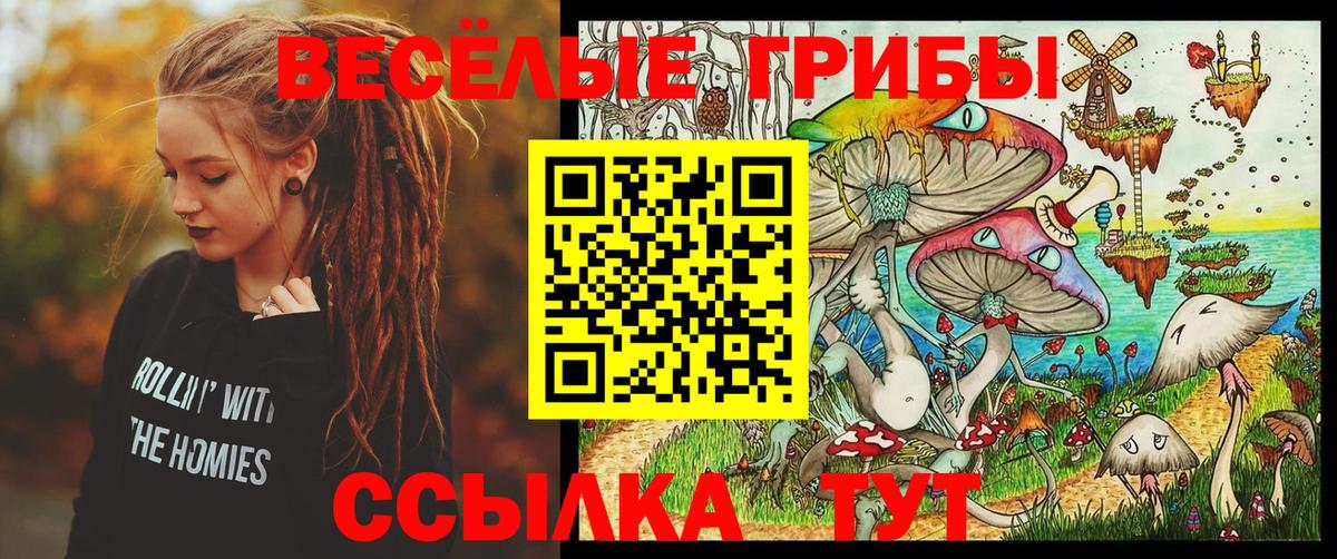 Сокол  Галлюциногенные грибы прущие грибы  Галлюциногенные грибы мухоморы  Вход с VPN 