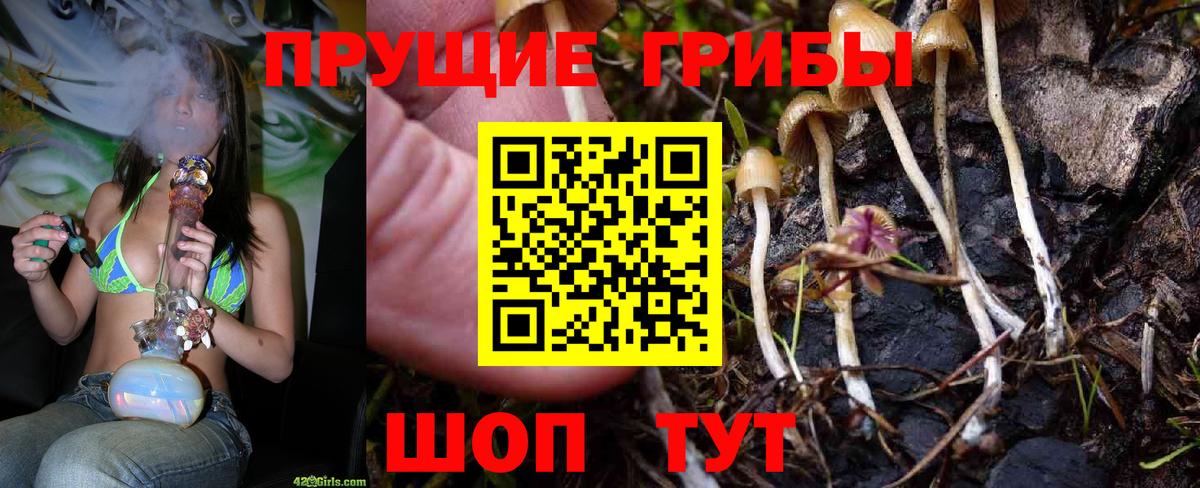Галлюциногенные грибы GOLDEN TEACHER Сокол