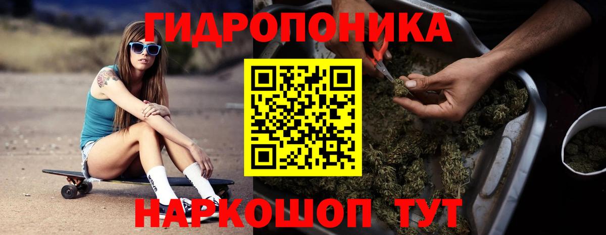 Конопля MAZAR  Каннабис индика  Сокол  Вход с VPN 